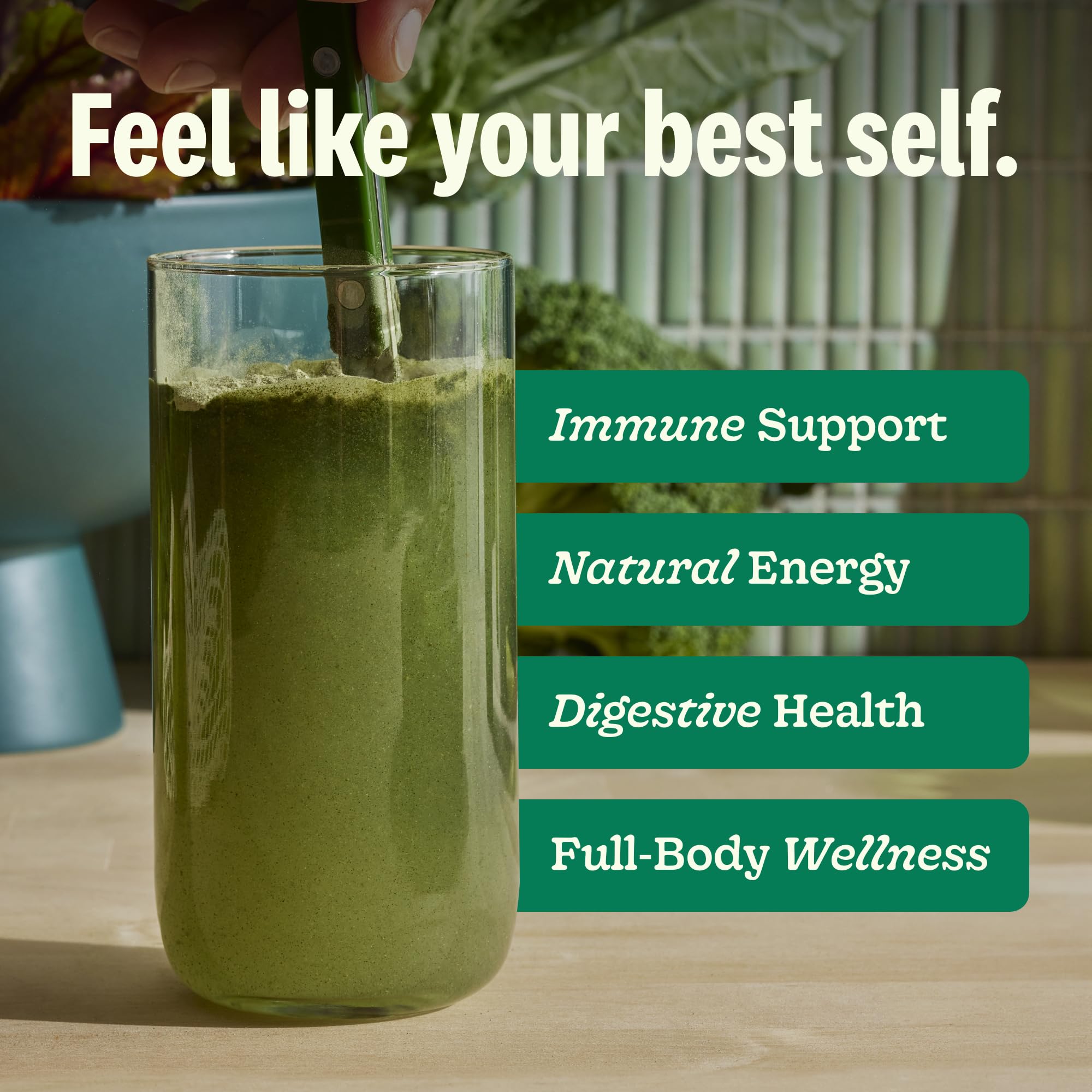 Ingredients including kale, broccoli, spinach, spirulina and mushrooms