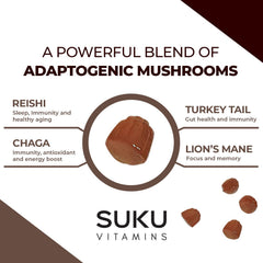 Easy-to-chew mushroom vitamin gummies