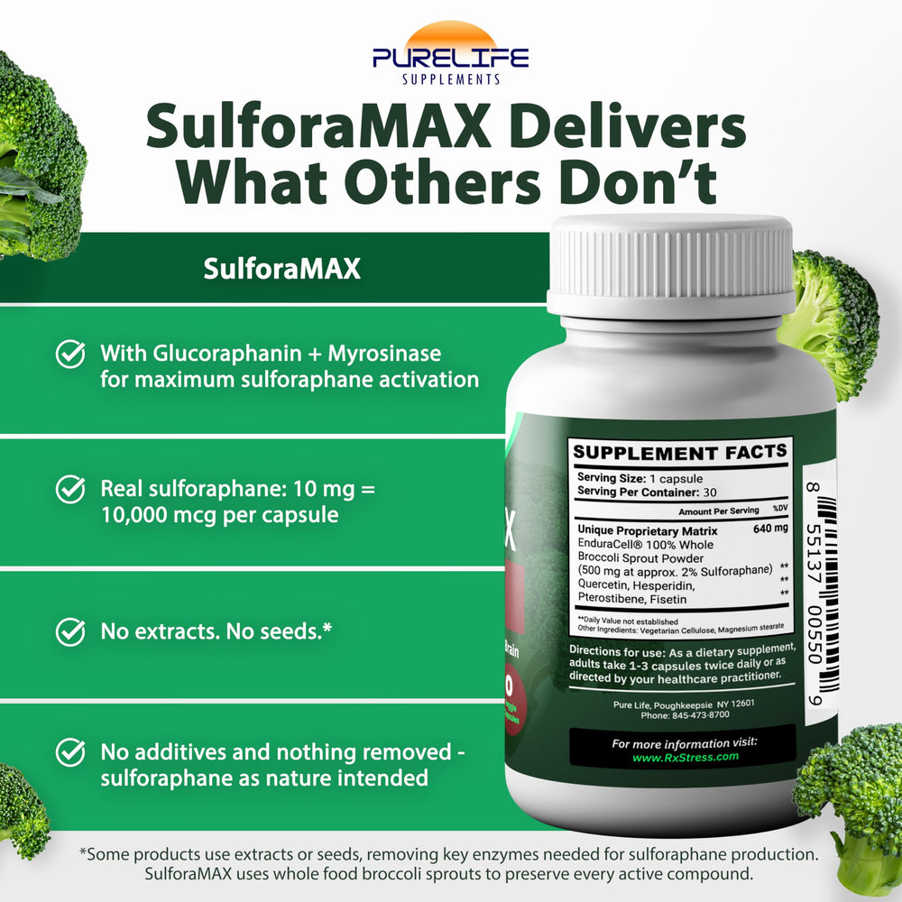 Illustration of heart health benefits from SulforaMAX