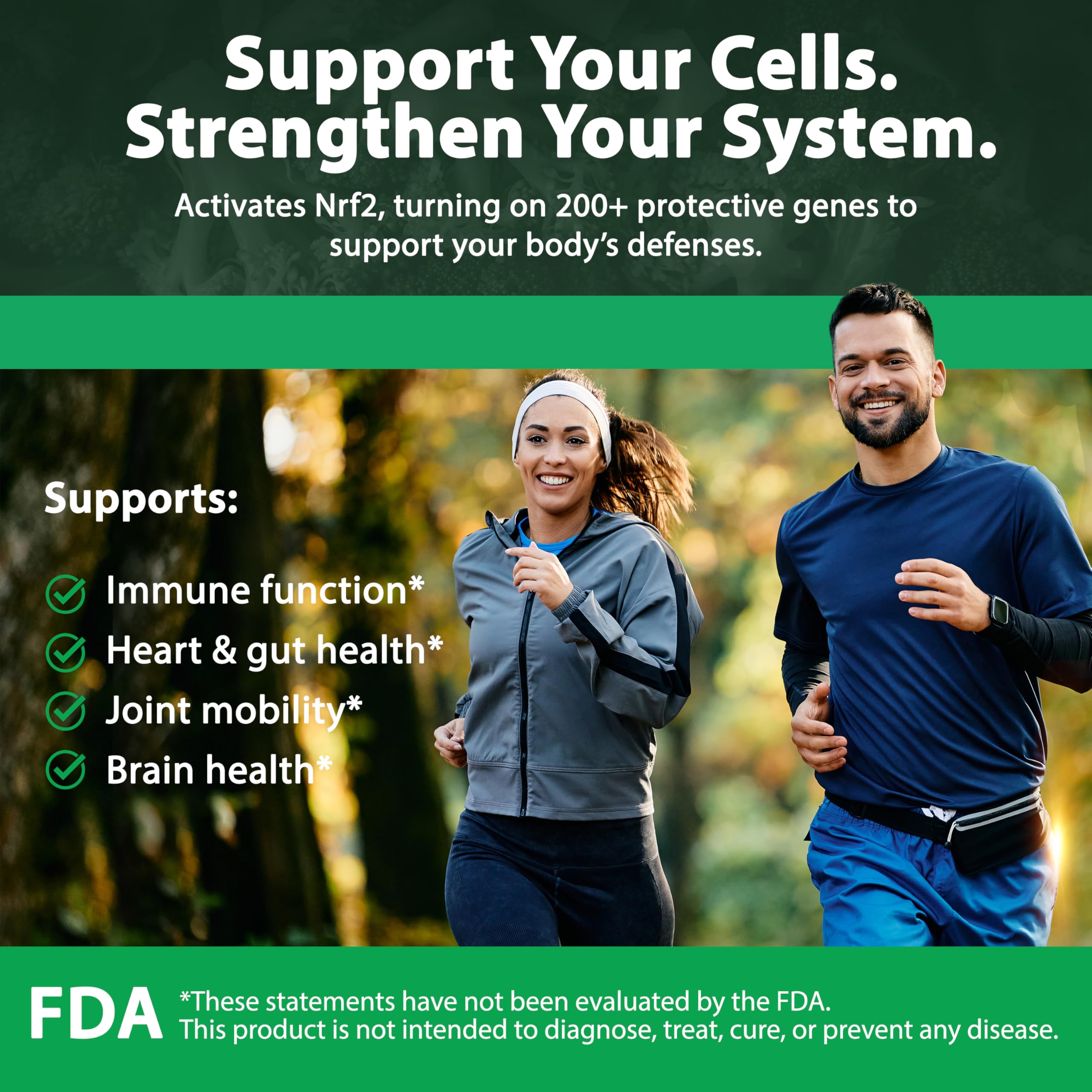 Graphic highlighting immune support benefits of SulforaMAX