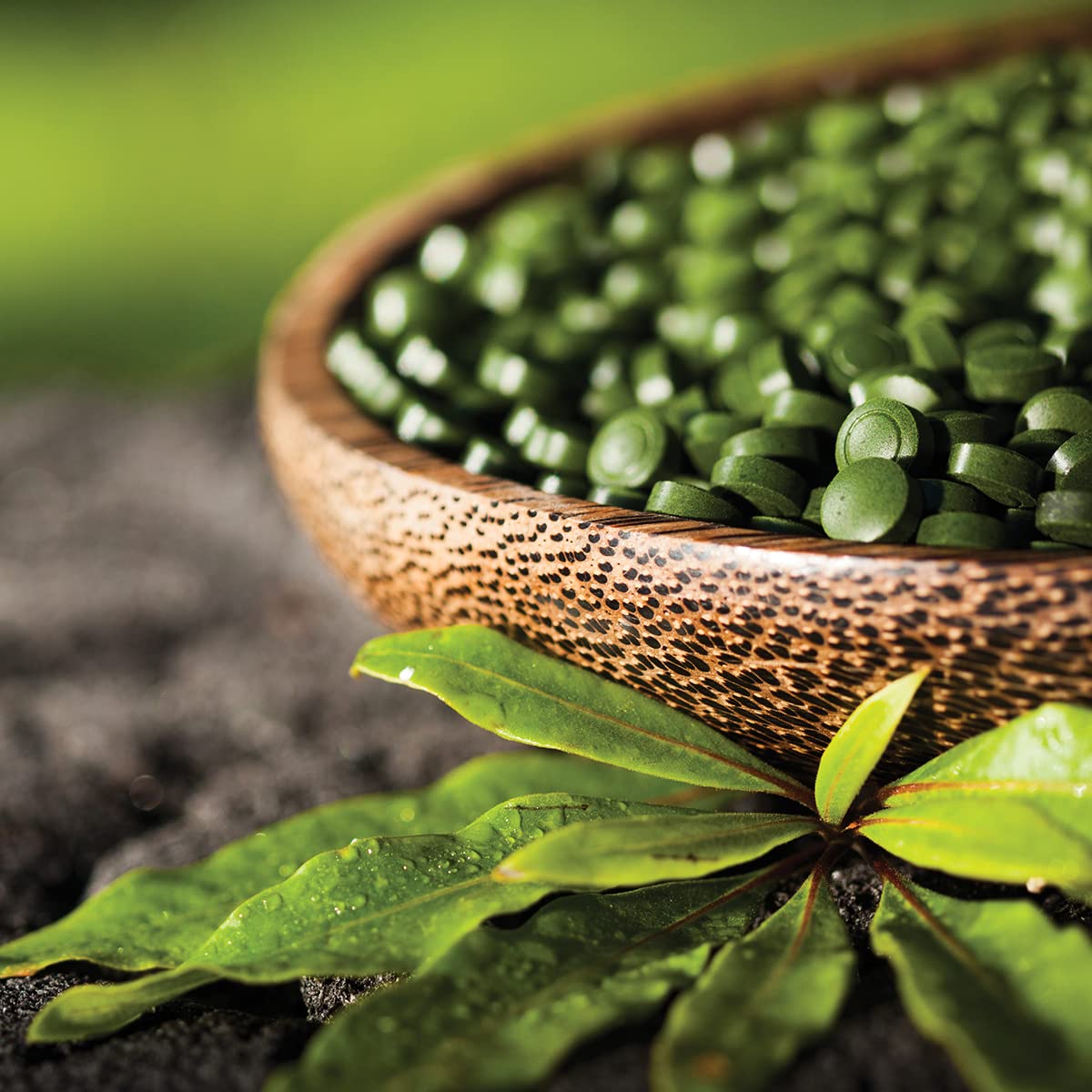 Close-up of Sun Chlorella 200 mg tablets