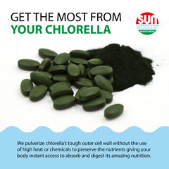 Gut health and digestion support for Sun Chlorella
