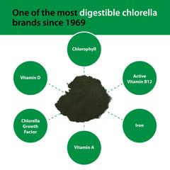 Graphic illustrating CGF chlorophyll and immune support
