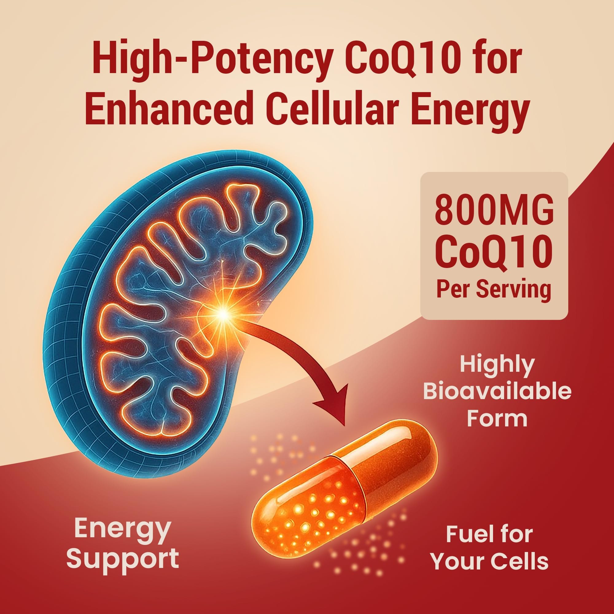 CoQ10 capsules promoting energy and stamina
