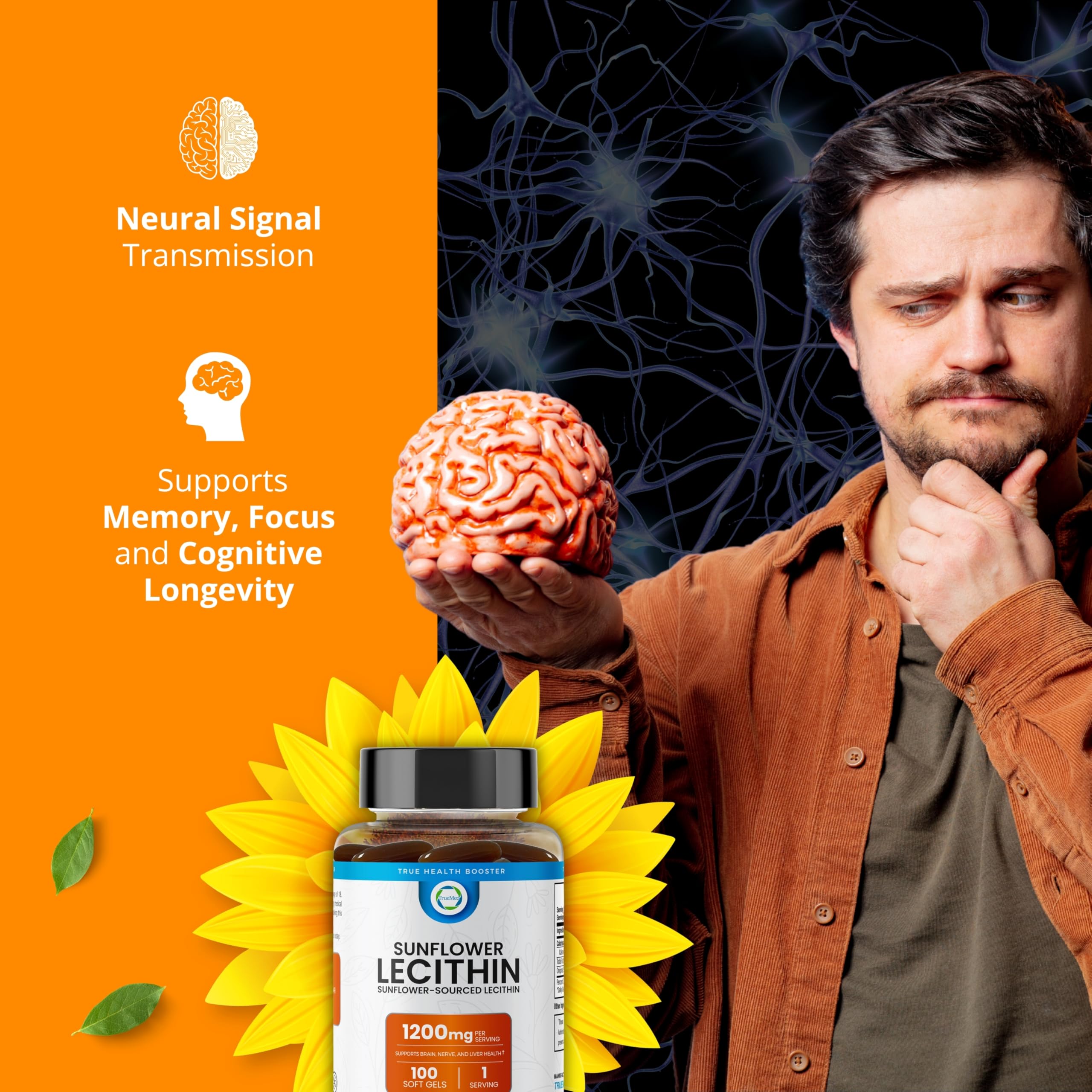 Brain health support graphic for sunflower lecithin