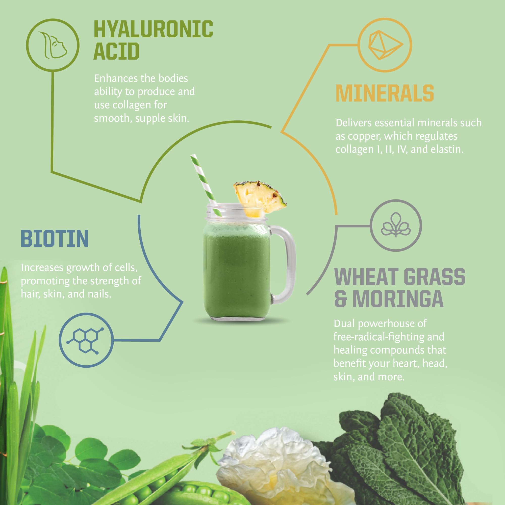 Ingredients panel for Sunwarrior Beauty Greens Collagen Booster