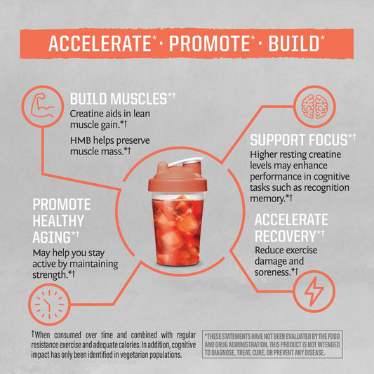 Close-up of HMB + Creatine formula on label