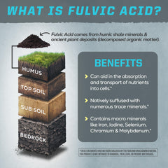 Sunwarrior Fulvic Acid Drops in a glass after workout for replenishment.