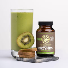 Plant-based digestive enzymes absorption and energy graphic