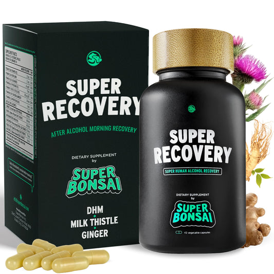Bottle of SuperBonsai Super Recovery Capsules with 14 servings