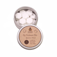 SuperBee Dentos toothpaste tablets in spearmint flavor
