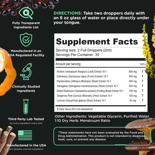 Herbal ingredients used in Super Lungs tincture including mullein, elderberry, reishi