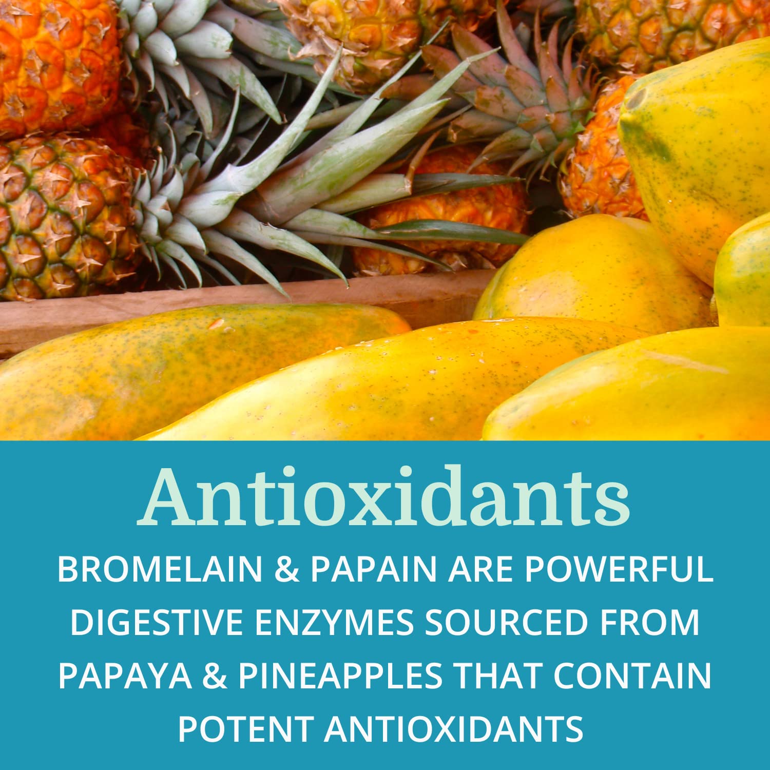 Lab ingredients of SuperDigest with enzymes and antioxidants