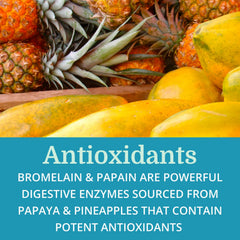Lab ingredients of SuperDigest with enzymes and antioxidants