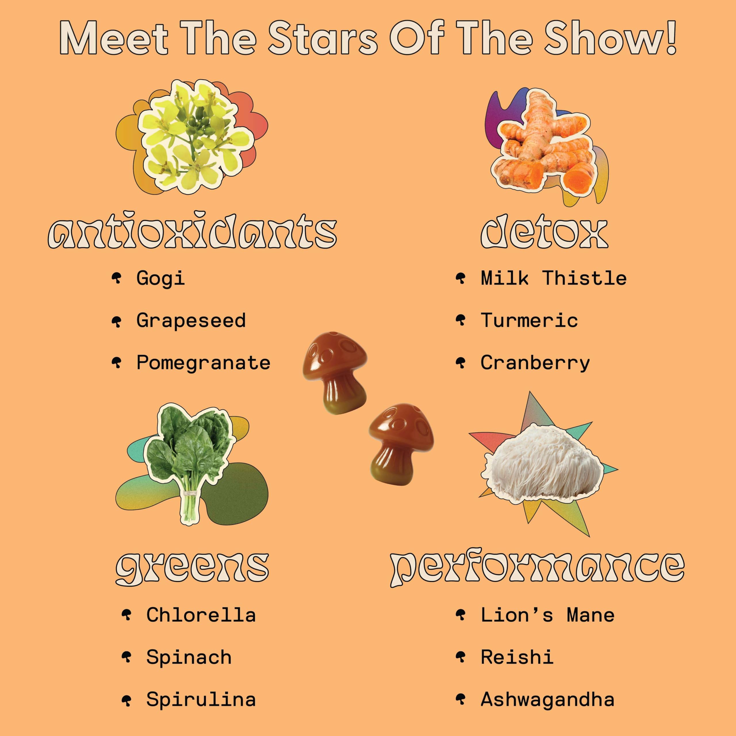 Illustration of Spirulina, Chlorella, Lion's Mane and Ashwagandha ingredients