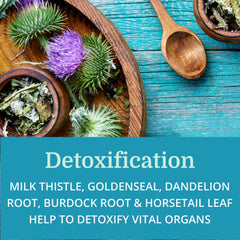 Milk Thistle, Goldenseal, Dandelion and Horsetail detox herbs