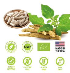 SUPREME HERBALS capsules on a morning counter with water showing daily routine fit benefit