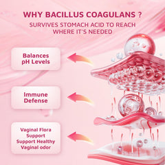 Illustration of Bacillus Coagulans probiotic ingredients