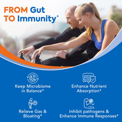 Illustration of the 3-in-1 formula: probiotics, prebiotics, and enzymes