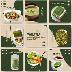 Image of sustainable farming system for Wolffia
