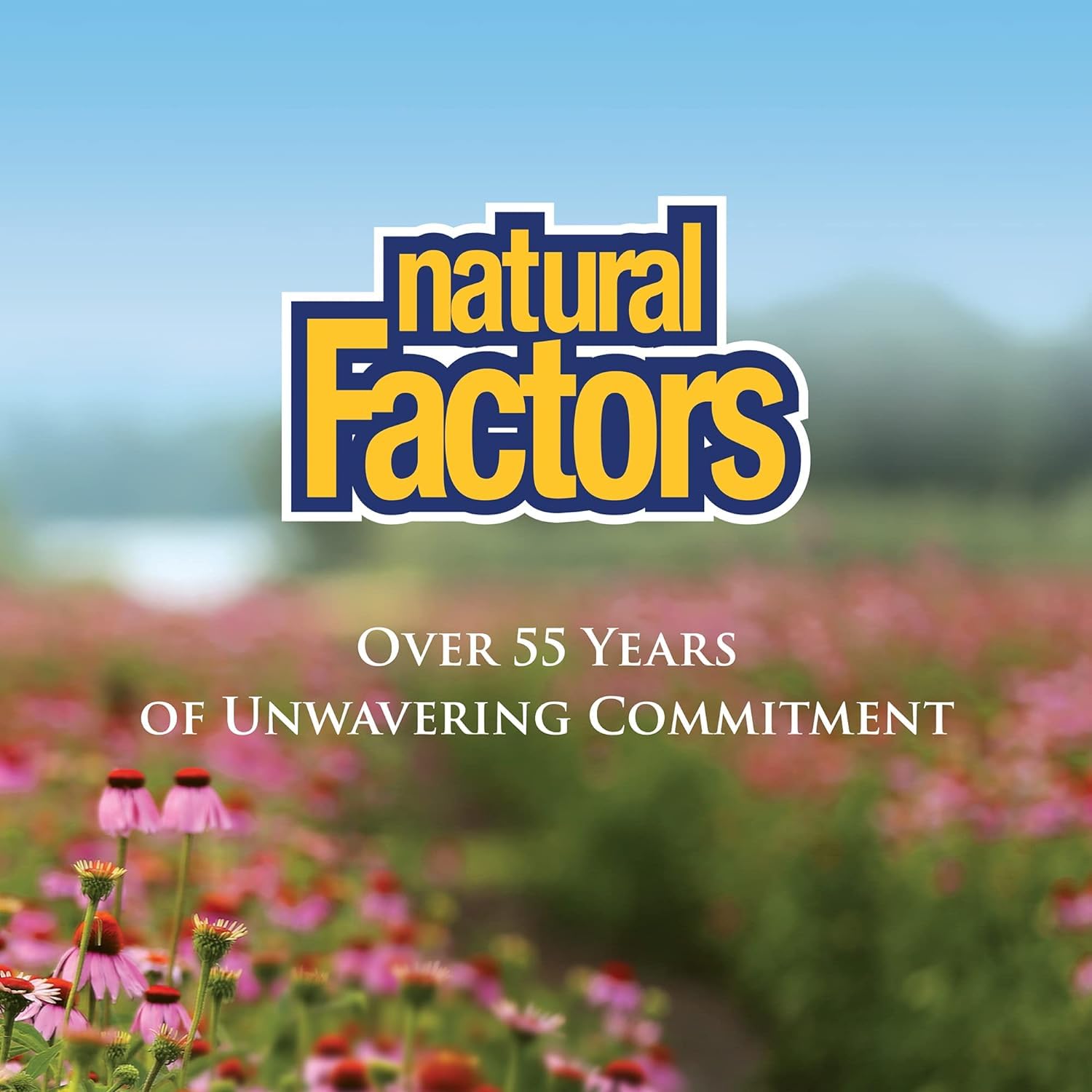 Sustainably produced packaging for Bromelain capsules