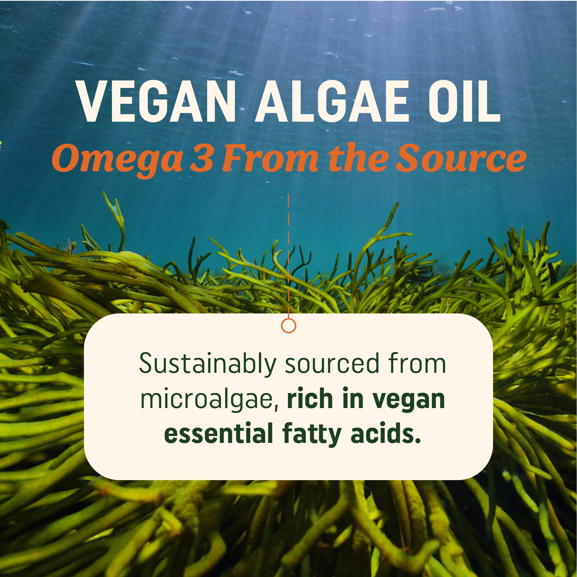 Sustainably sourced microalgae illustration