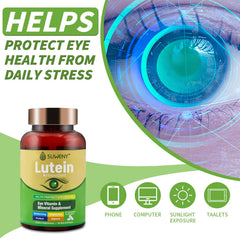 Macular support and visual clarity illustration