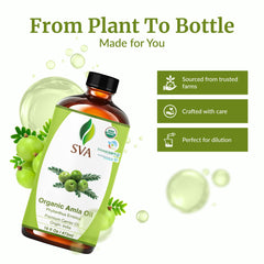Amla Oil being used for hair care and scalp massage