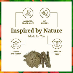 Calamus essential oil used in diffuser for aromatherapy