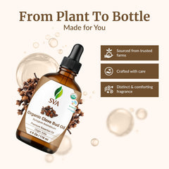 Clove bud essential oil for body massage (diluted in carrier oil)