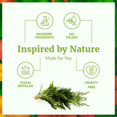 Dropper inserted into SVA Cypress Essential Oil bottle