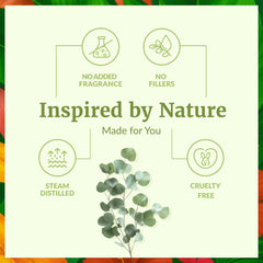 Diffuser setup with eucalyptus essential oil for aromatherapy