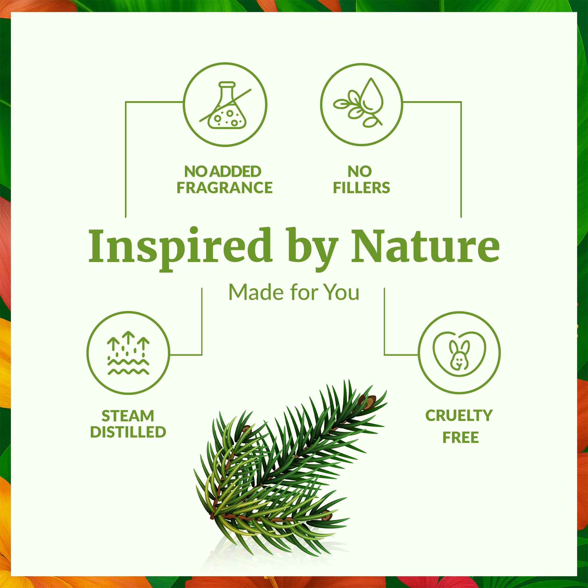 Dropper dispensing Fir Balsam Oil