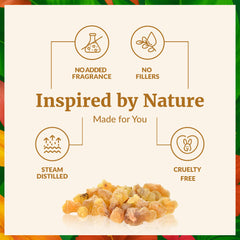 Frankincense essential oil used in diffuser aromatherapy
