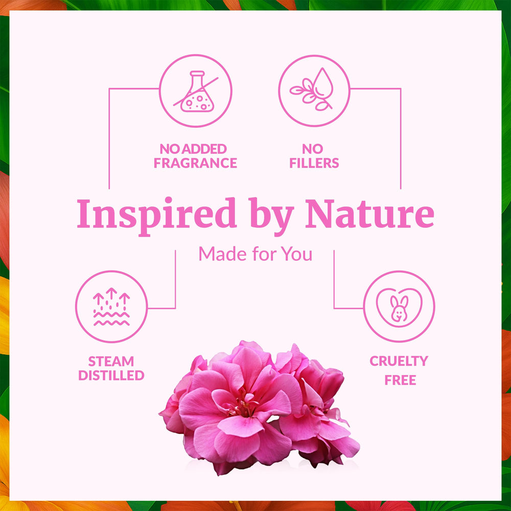 Steam-distilled Geranium essential oil from Pelargonium graveolens flowers