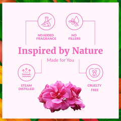 Steam-distilled Geranium essential oil from Pelargonium graveolens flowers