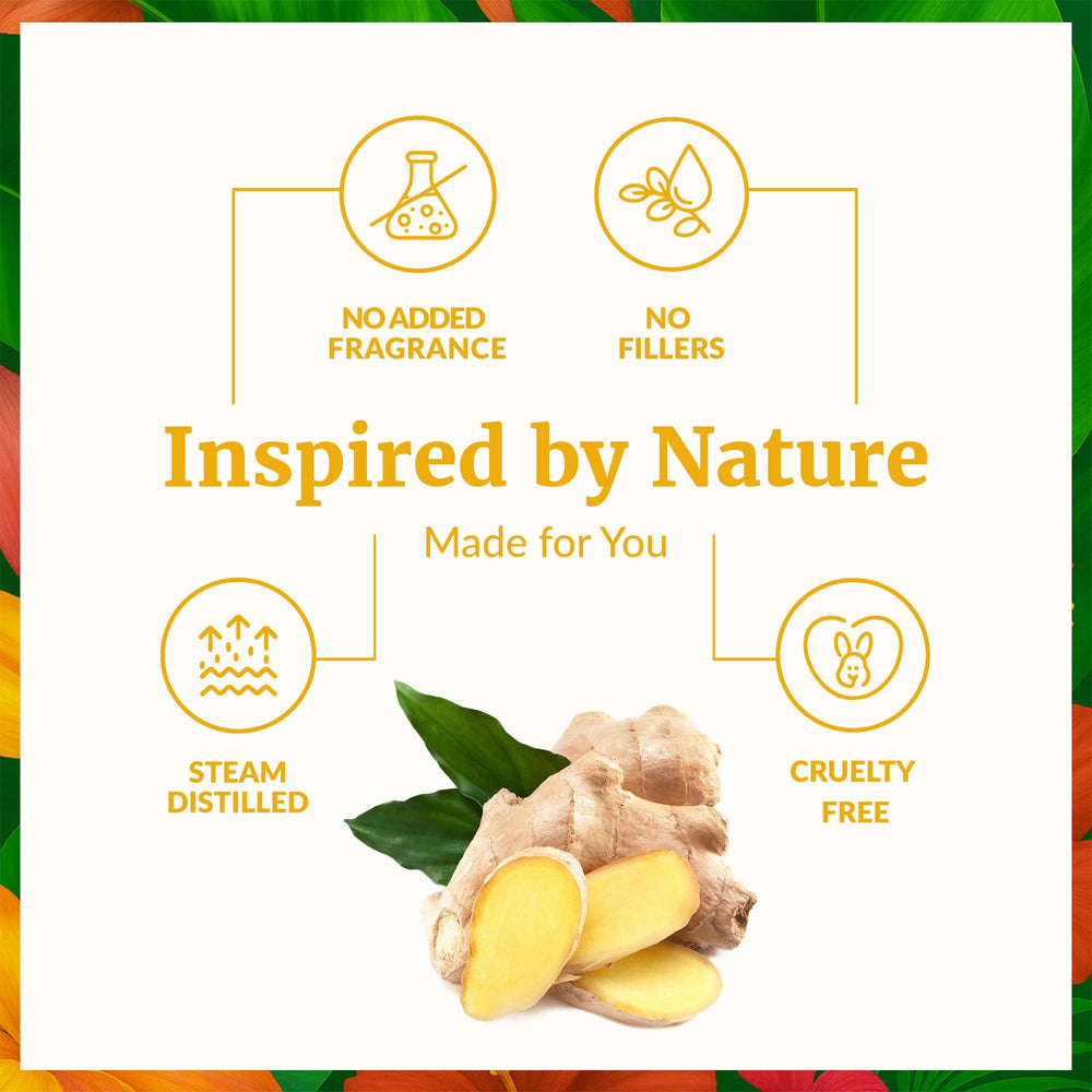 Fresh ginger roots beside SVA Ginger Essential Oil bottle