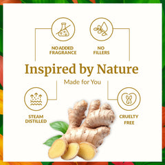 Label of SVA Ginger Essential Oil - 100% natural