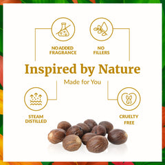 Nutmeg essential oil scent for diffusers and aromatherapy