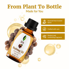 Nutmeg essential oil applied on skin for nourishment
