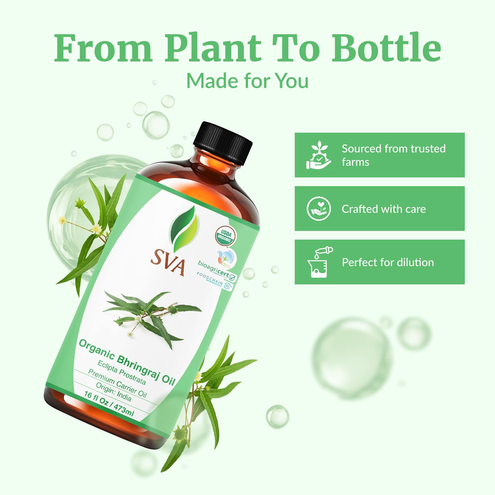 Bhringraj oil applied to hair and scalp during care routine