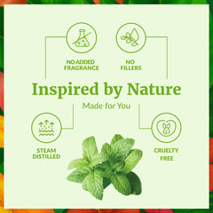 Peppermint oil diffuser aroma in a room