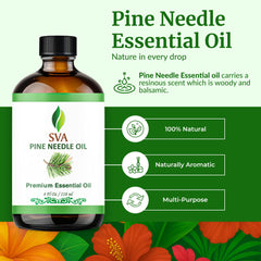 Steam-distilled Pine Needle Essential Oil from Pinus Sylvestris