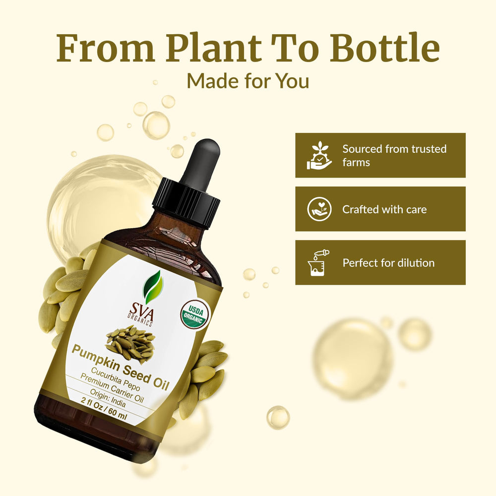 Diagram of cold-pressed extraction process for pumpkin seed oil