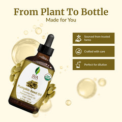 Diagram of cold-pressed extraction process for pumpkin seed oil
