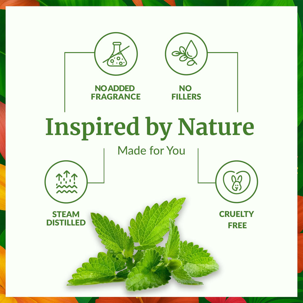 Mentha spicata leaves used for spearmint essential oil