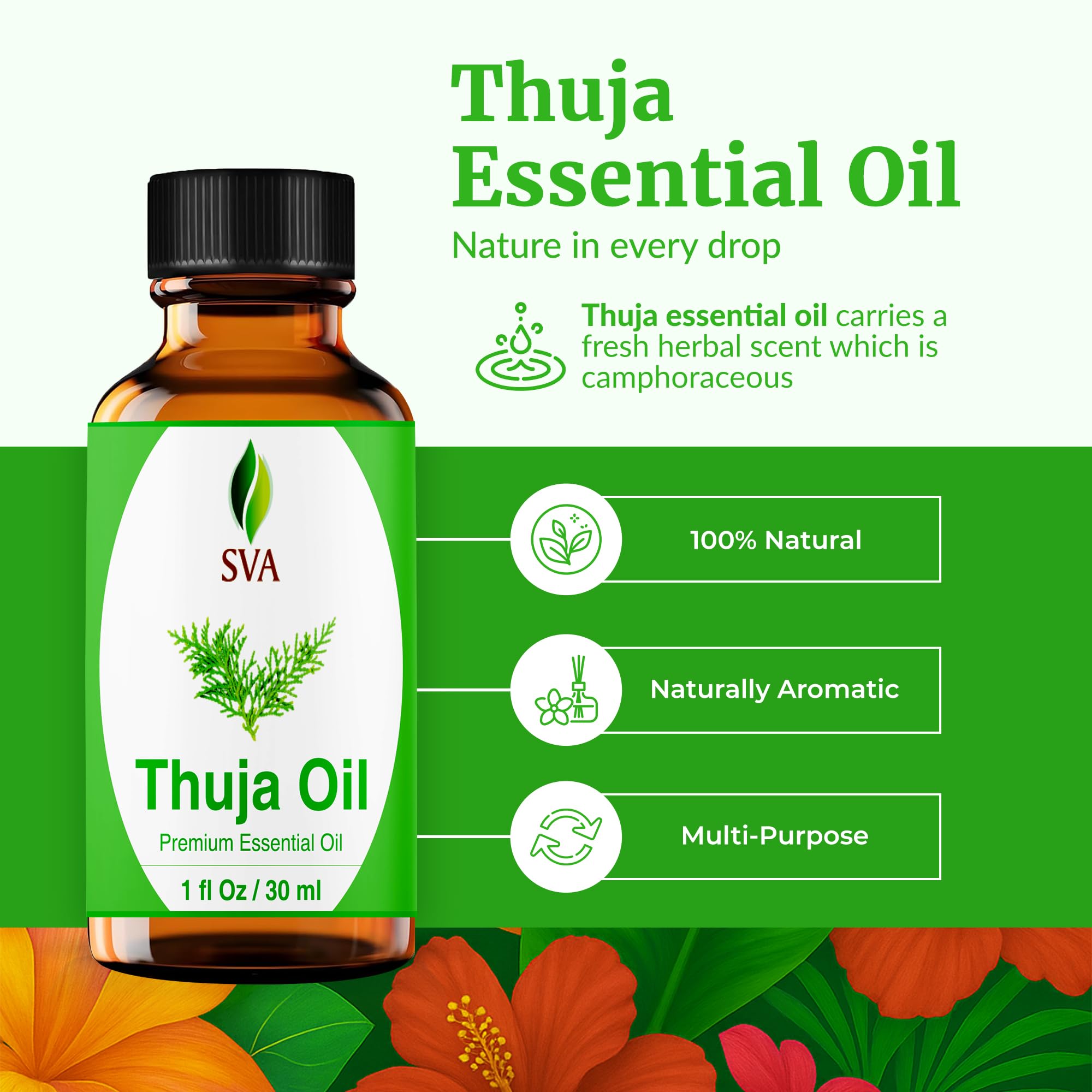 Thuja essential oil in diffuser for aromatherapy