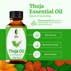 Thuja essential oil in diffuser for aromatherapy