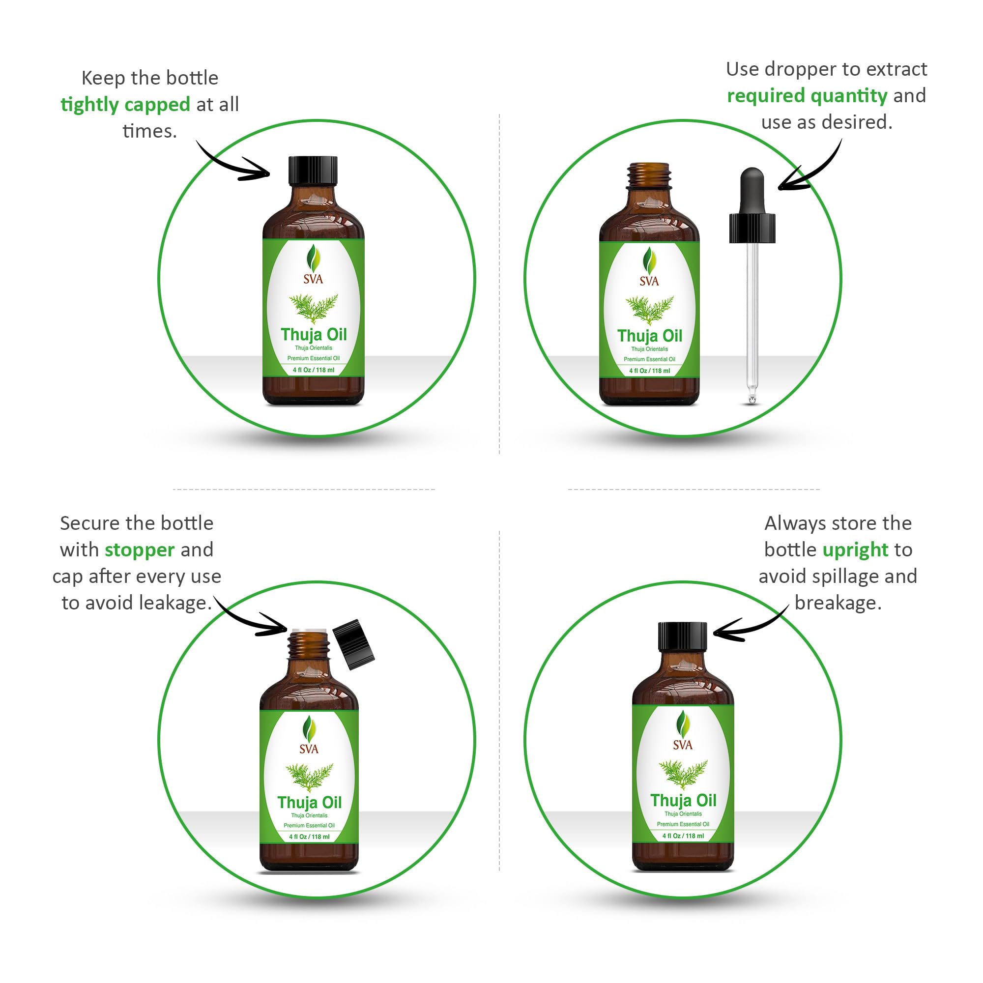 Steam-distilled Thuja Orientalis essential oil ingredients