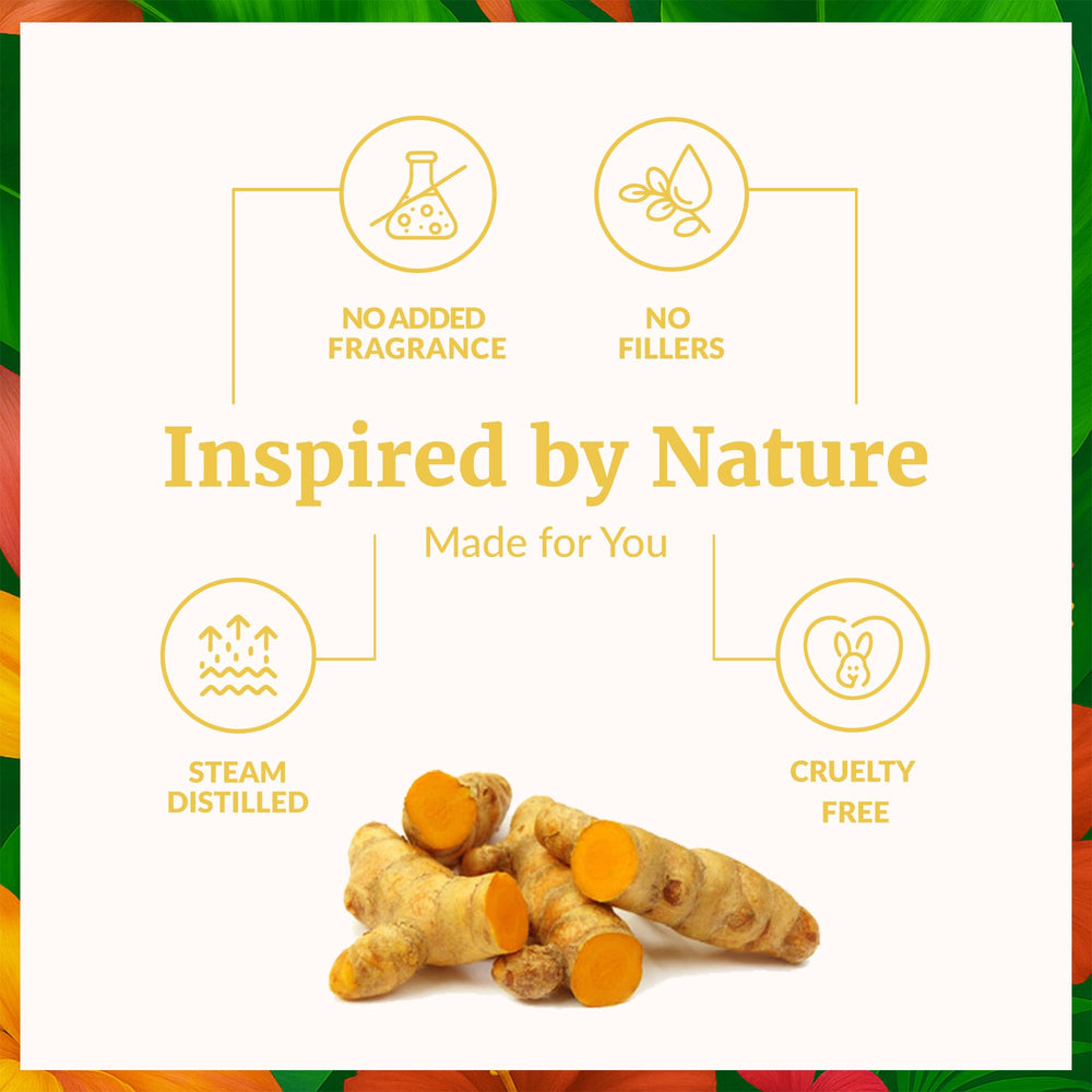 Steam-distilled turmeric roots used to produce turmeric oil